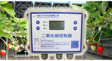 中國北方CO?新技術(shù)，將促進(jìn)農(nóng)作物光合作用和光合產(chǎn)物的生成