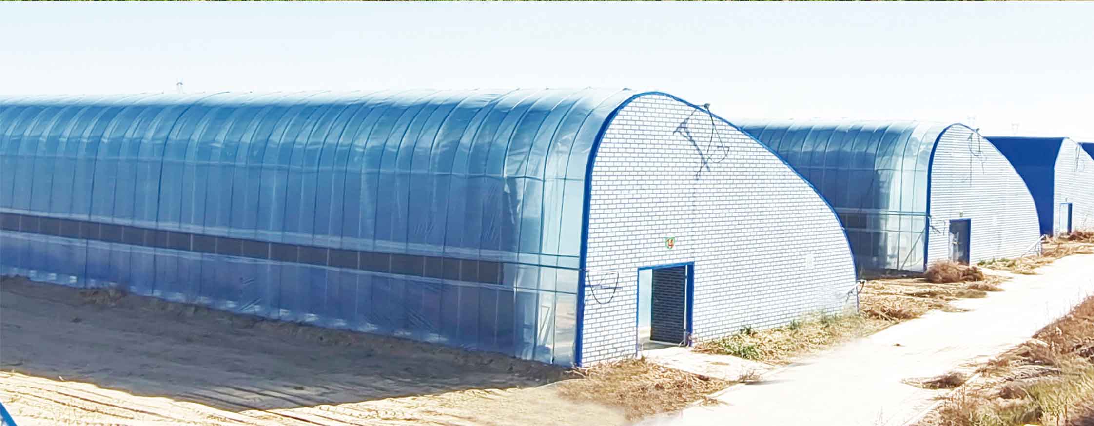 2、冬室夏棚網(wǎng)頁_10.jpg
